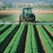 farmer-880567_960_720 farmer-880567_960_720