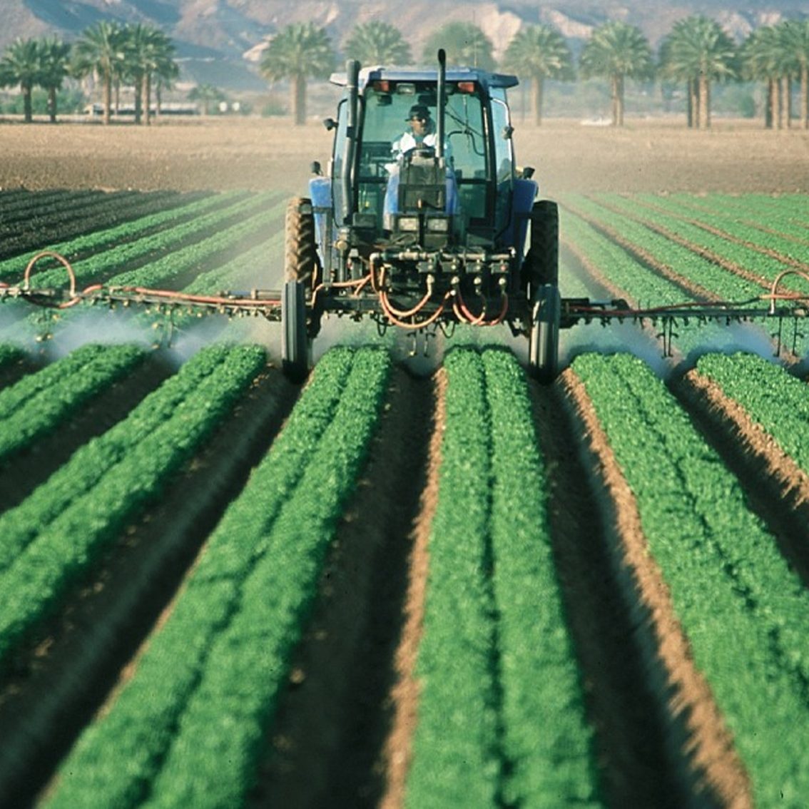 agronomy agronomy