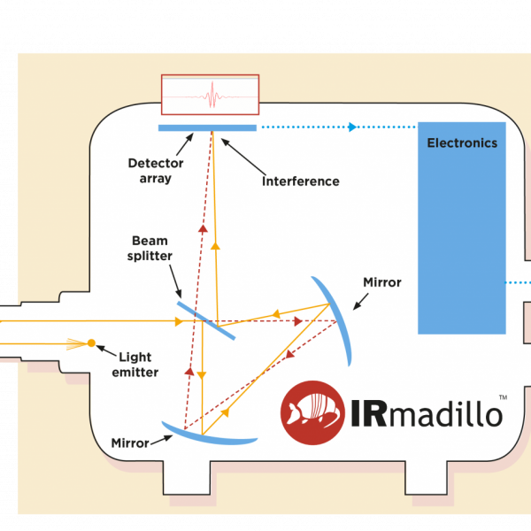 IRmadilloDiamond-with-glands-interior-light-path-2048x953