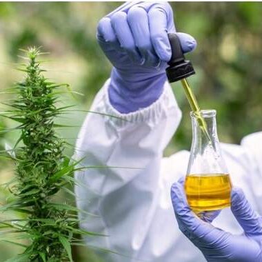 Captura de tela_2-9-2024_155129_-min (1)